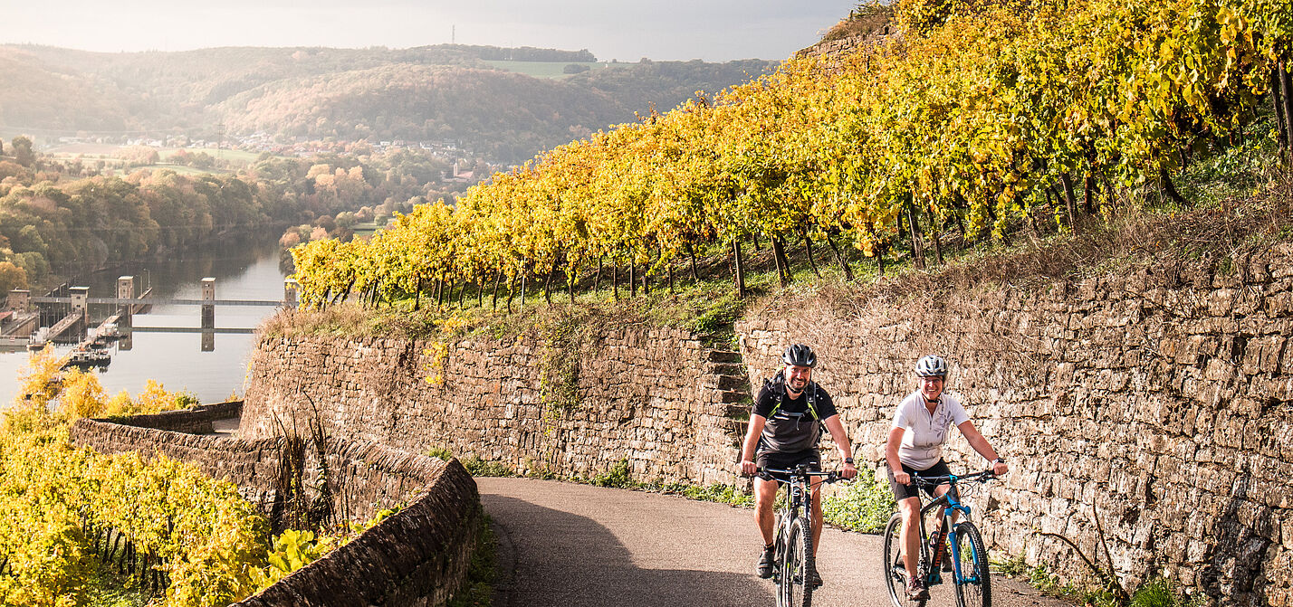 Neckartal-Radweg, zwei Radfahrer auf dem Weg zur Burg Hornberg in den Weinbergen mit Blick ins Neckartal