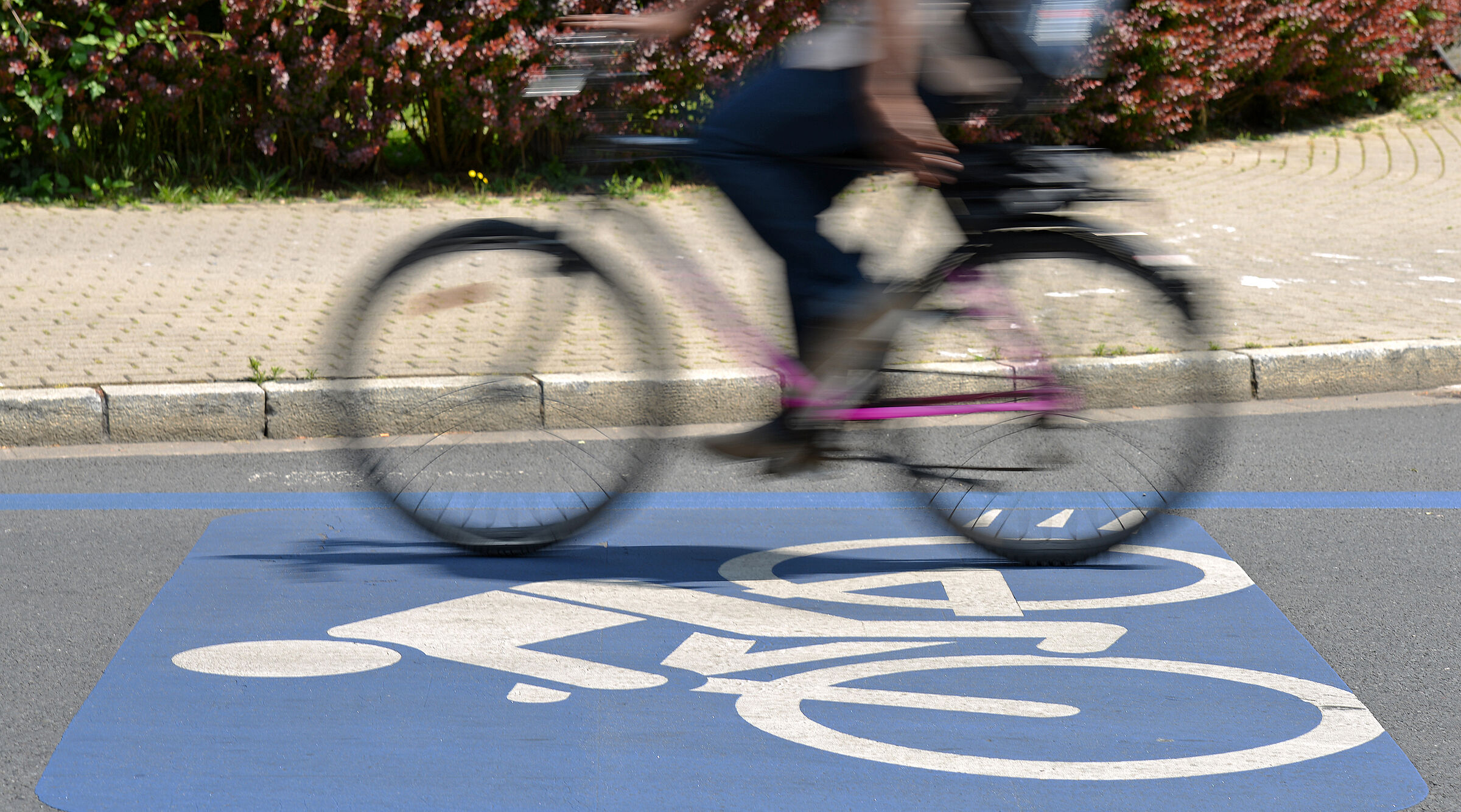 Radschnellwegzeichen auf Asphalt mit Fahrrad